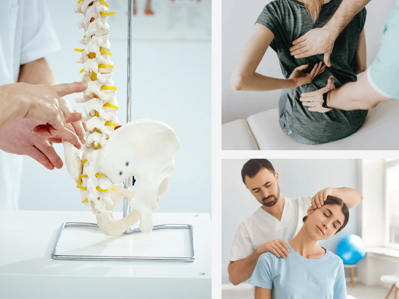 What Mattress Do Chiropractors Find Out Now!